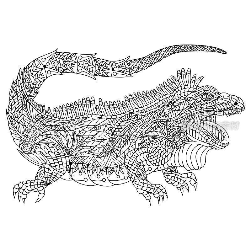 Hand drawn of iguana in doodle style